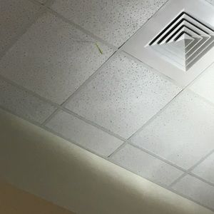 Meet your Posher, Chase